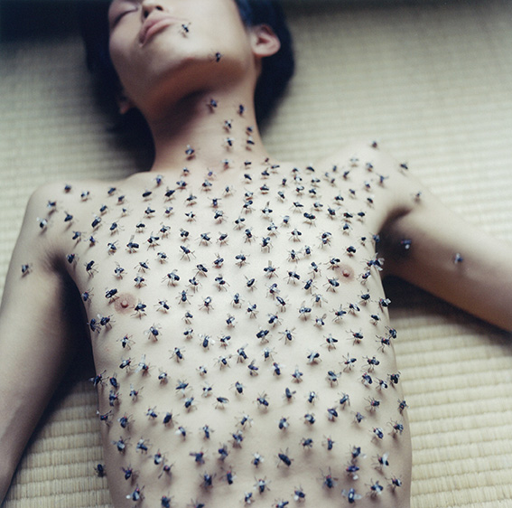 アート・デザイン・音楽 Rinko kawauchi SWPA: Rinko Kawauchi, Prêmio “Contribuição Excepcional à