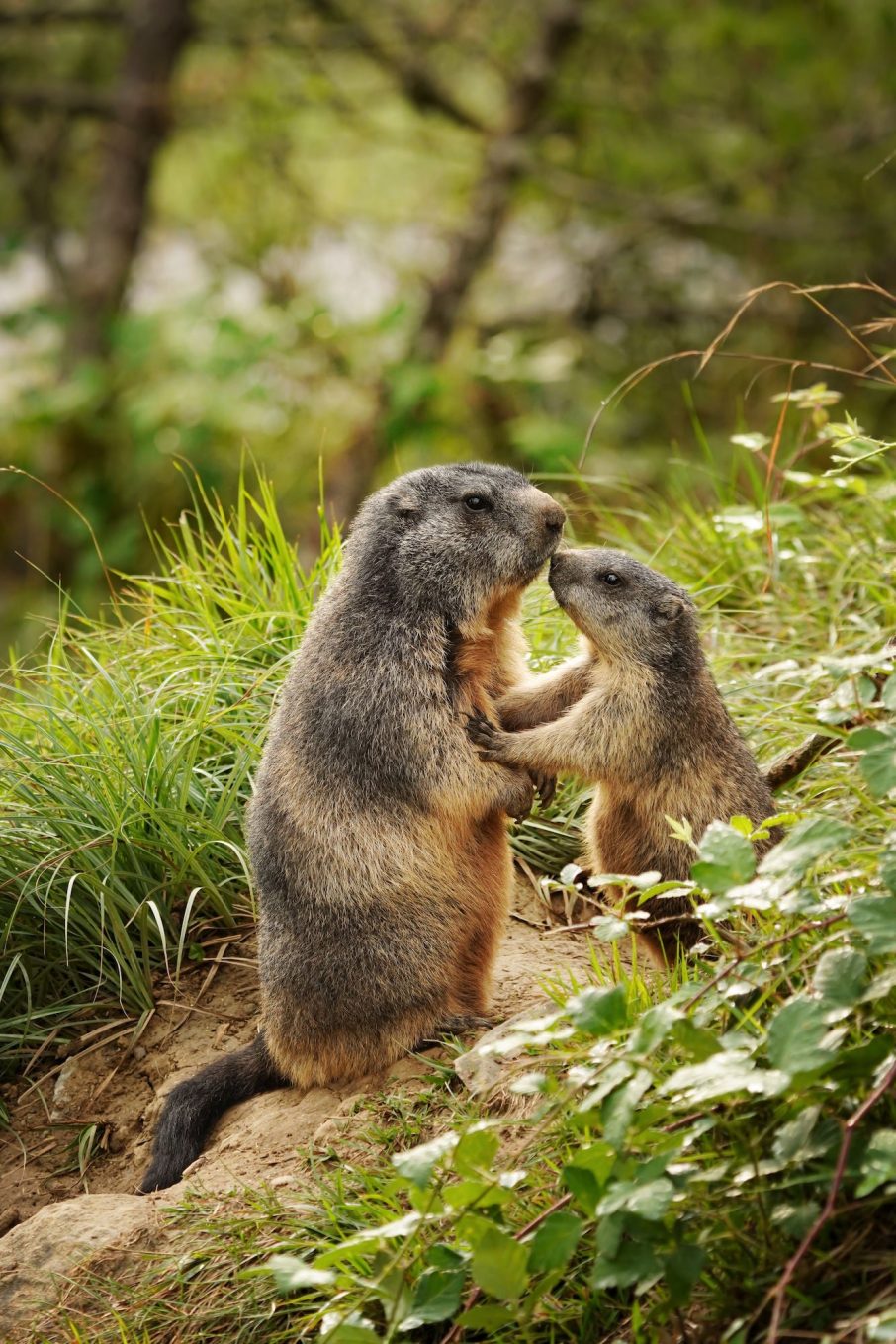 200600gnotaabril2024