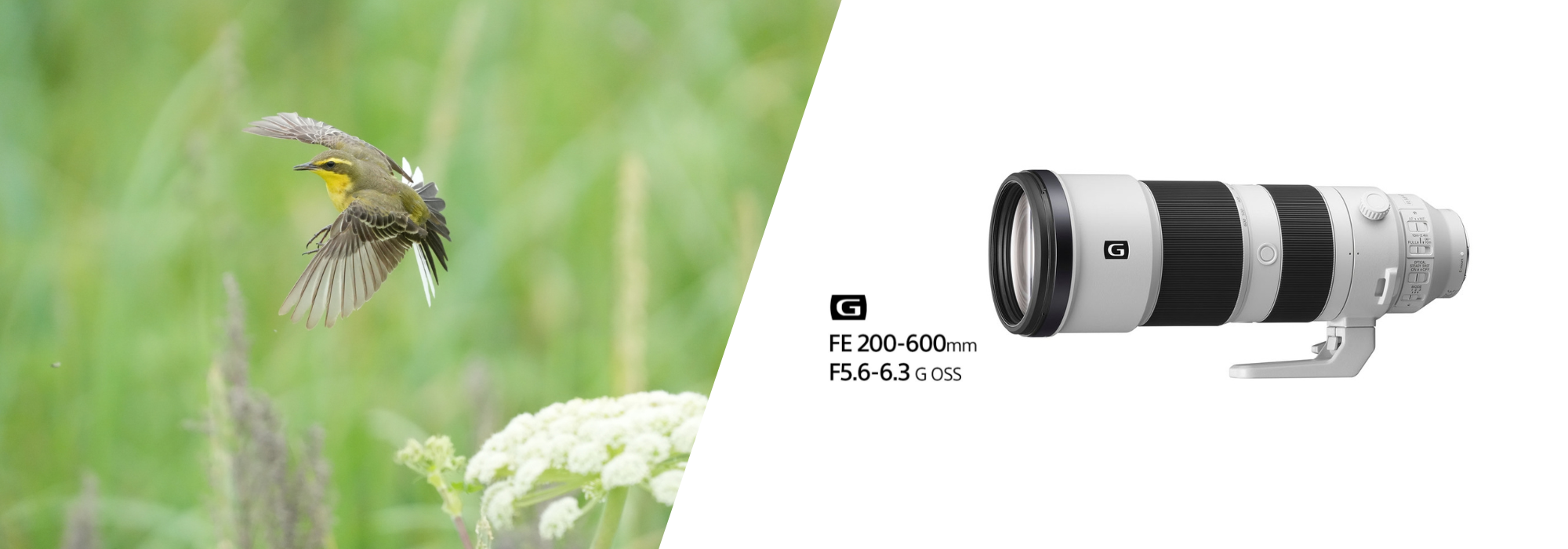 200600gnotaabril2024