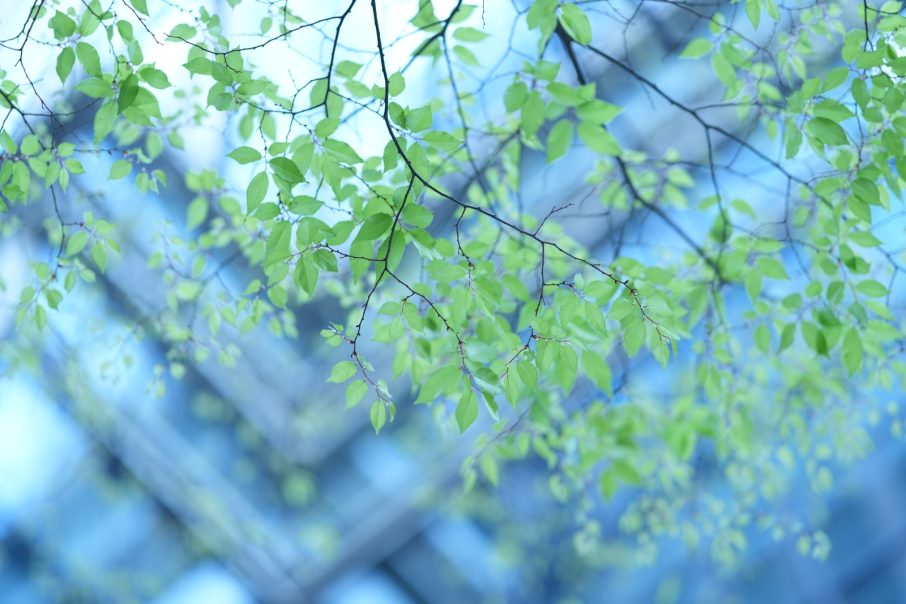 85f14gmiilanzamientoaug2024