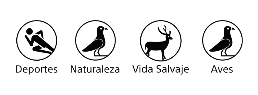 image200600gnotaabril2024