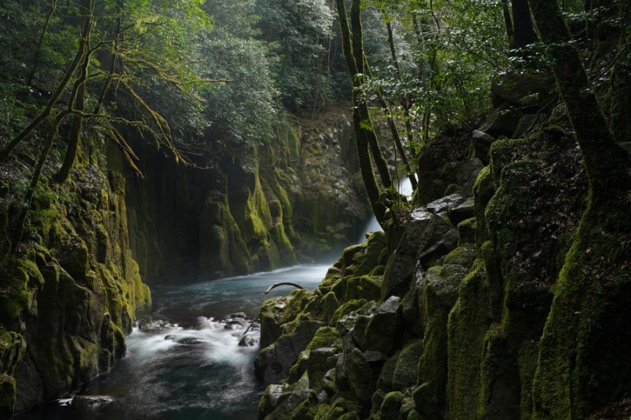 refresh5012gmaug2024