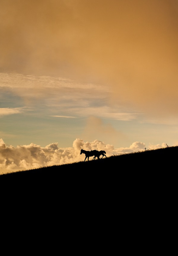 manuelfuentesangularoct24